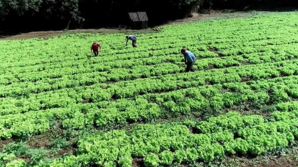 preço produtos básicos