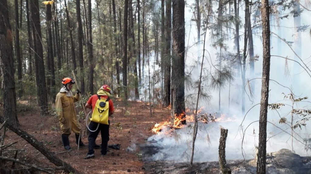 queimadas na região