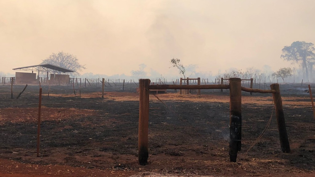 incêndios em Sertãozinho