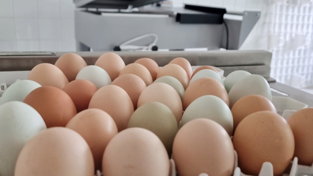 preço de ovos