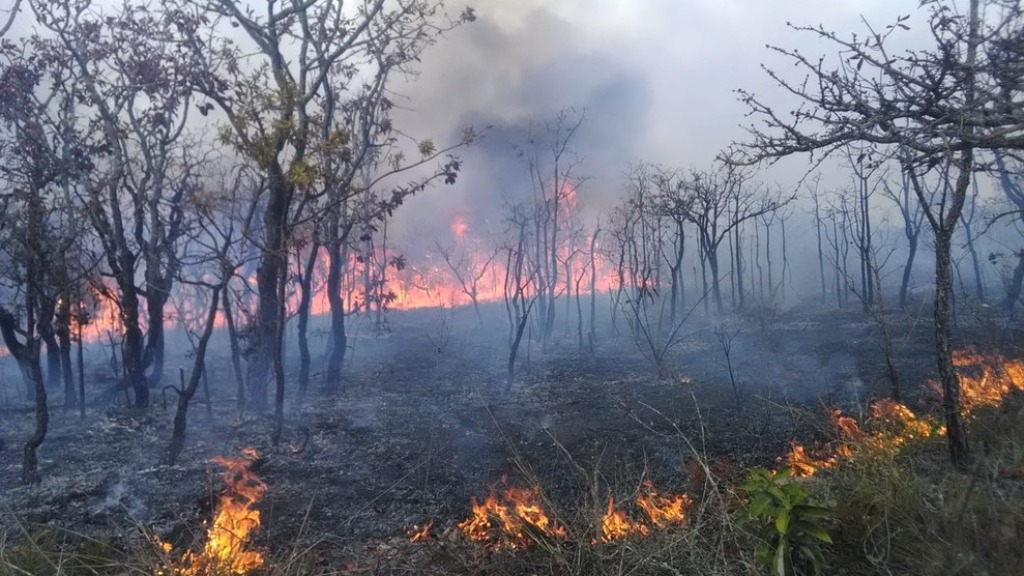 incêndio em estações ecológicas