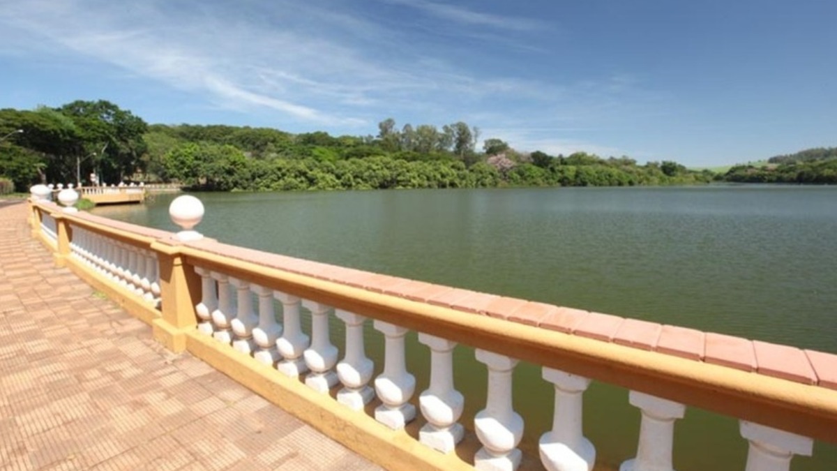 capivaras carrapatos-estrela