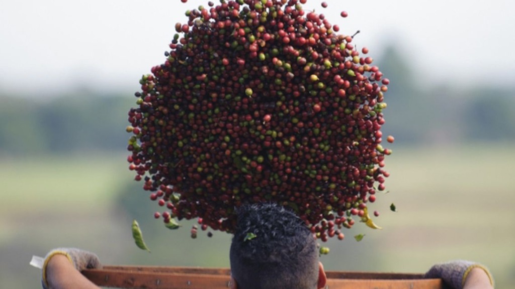 história de Ribeirão Preto