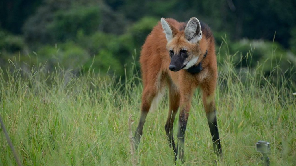 Unidade de Conservação Ambiental
