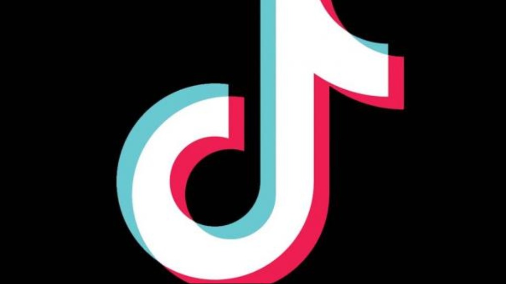 TikTok downloads