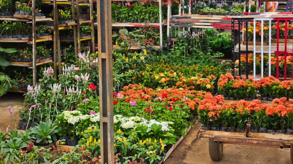 Preço flores Dia das Mães