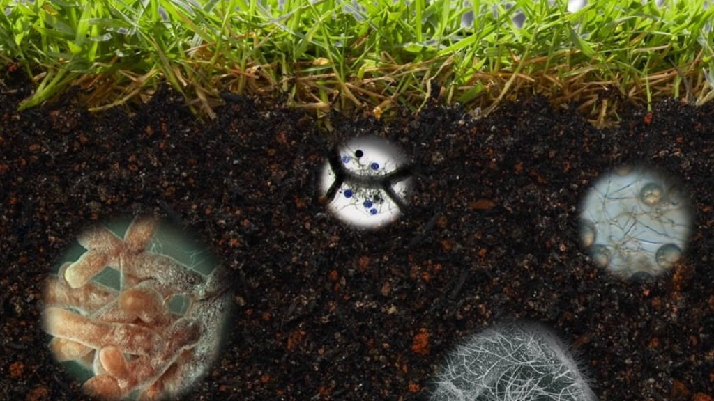 perda de microbiomas