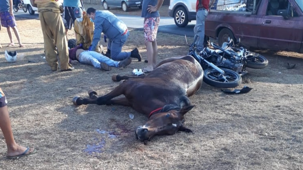 acidente moto cavalo