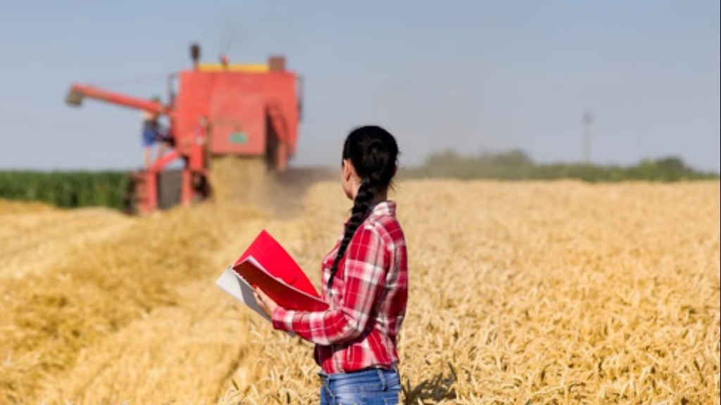 analista de projetos agronegócios