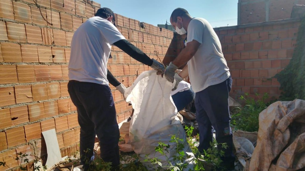 combate Aedes aegypti