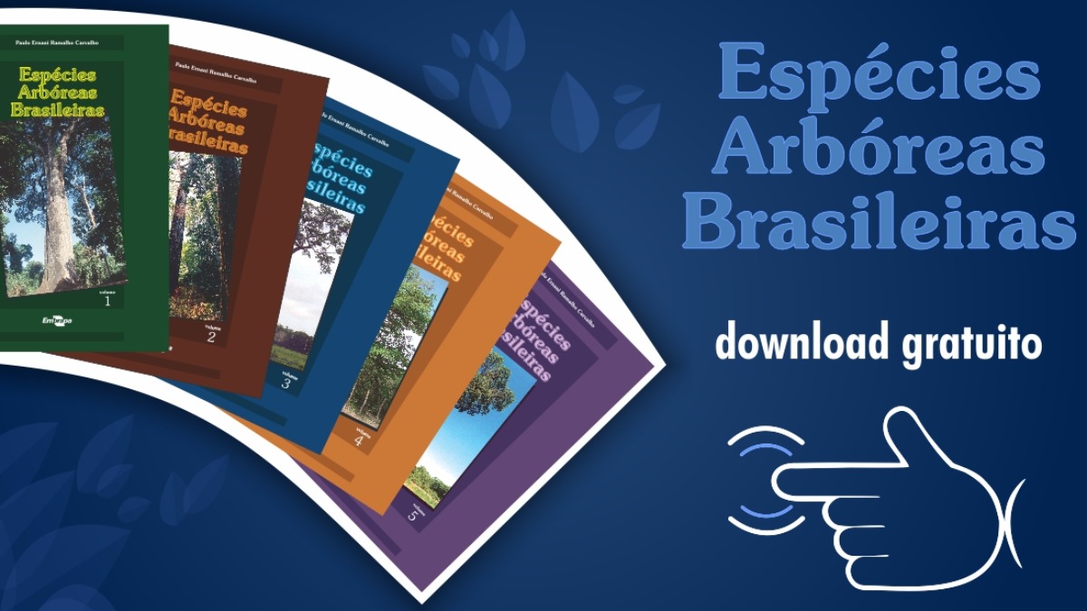 Espécies Arbóreas Brasileiras