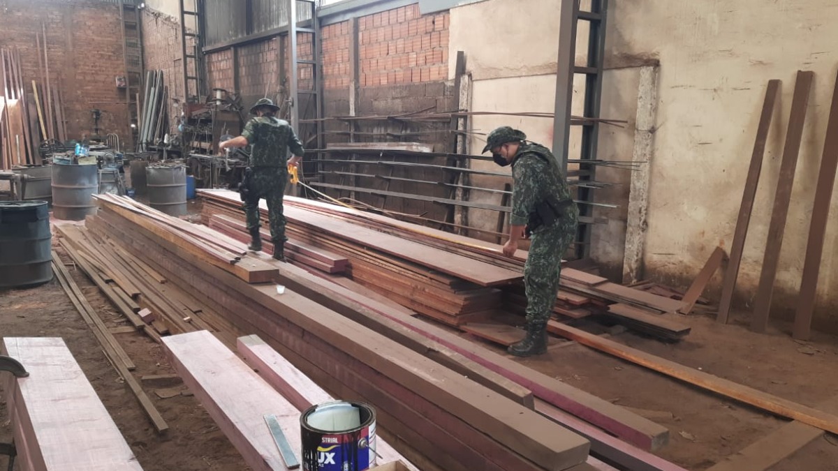 Madeireira ilegal Amazônia