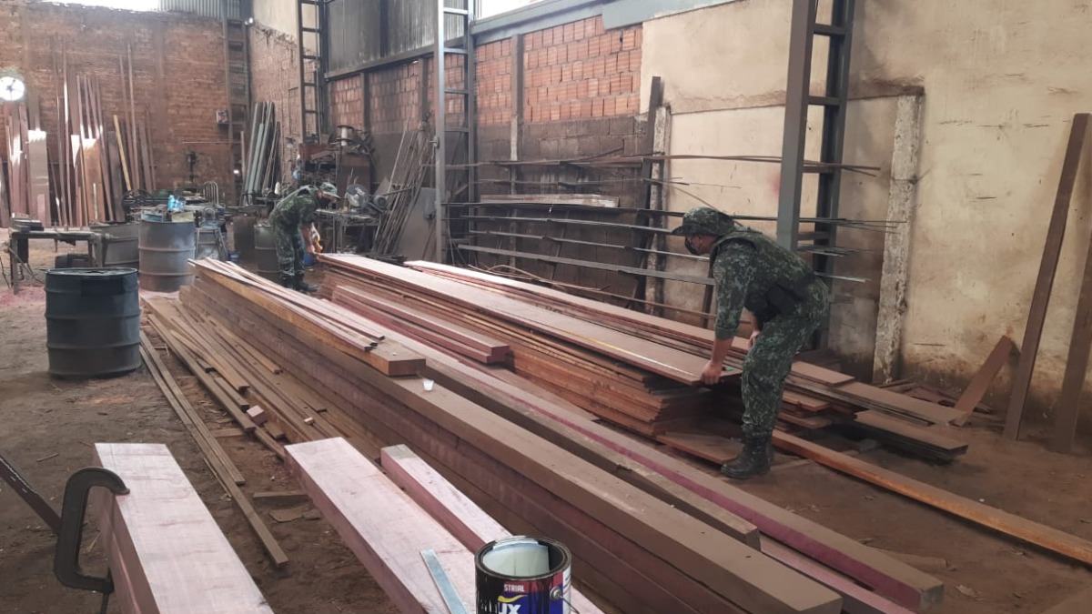 madeireiras irregulares