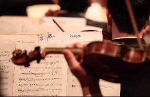 programação de eventos