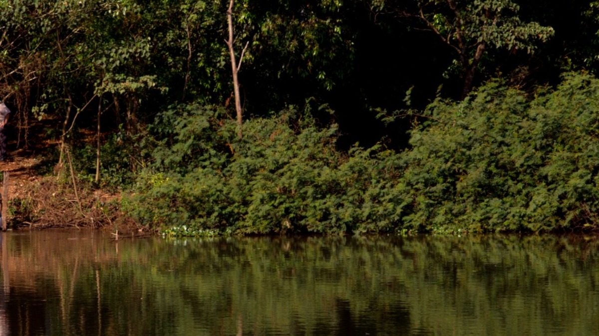desaparecimento pai e filho