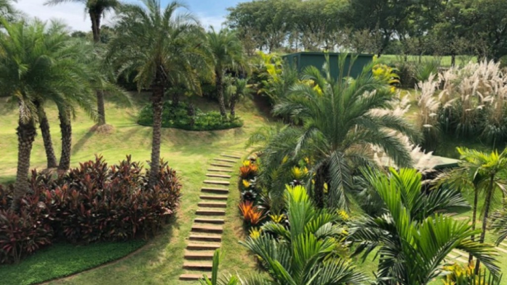 paisagismo tropical