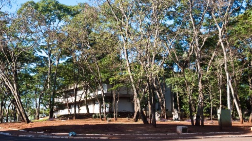 incêndios florestais