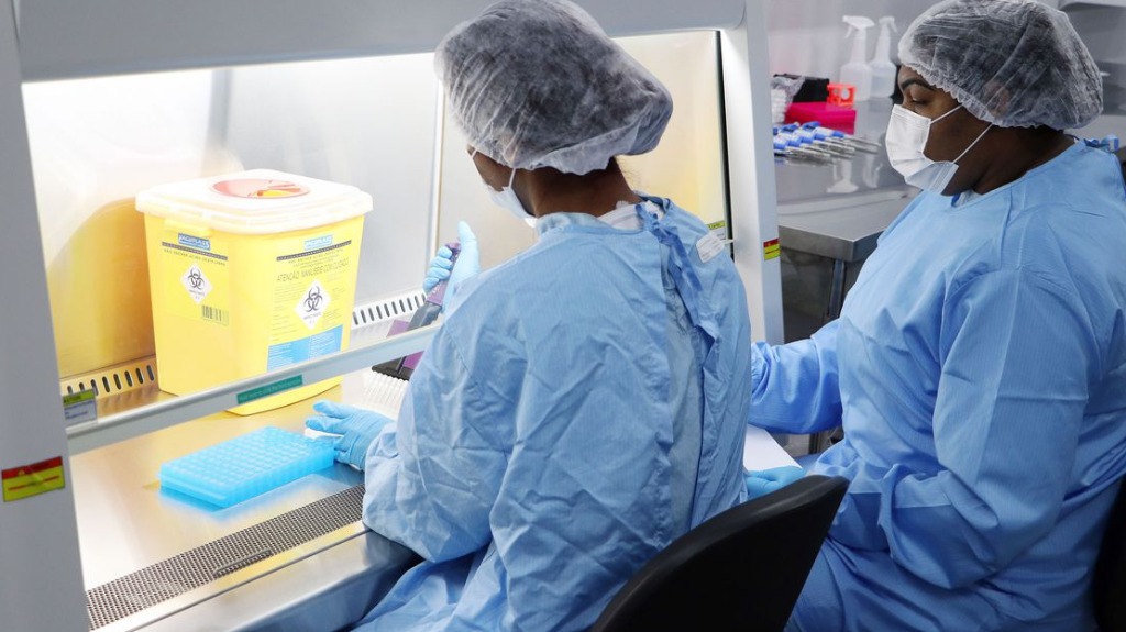 Chikungunya e proteção viral