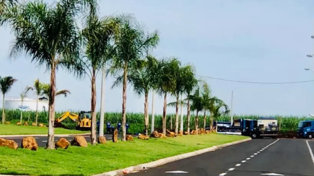 entretenimento Parque das Oliveiras