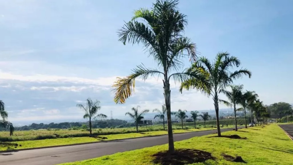 Parque das Oliveiras