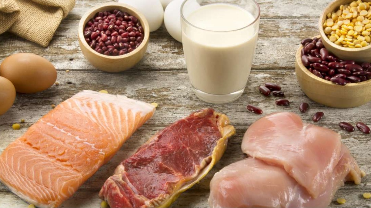 proteína animal e vegetal