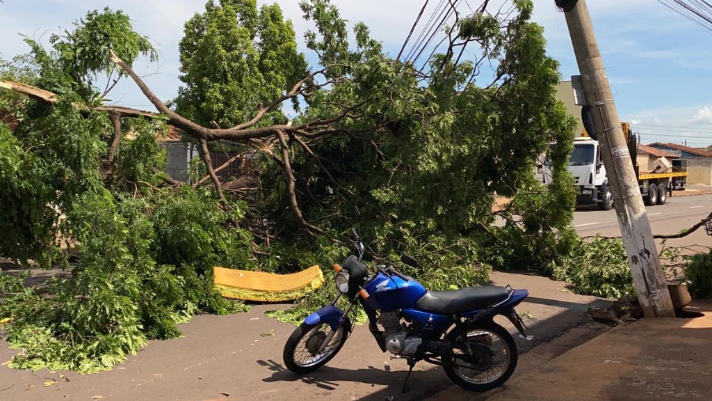 chuva em Ribeirão Preto
