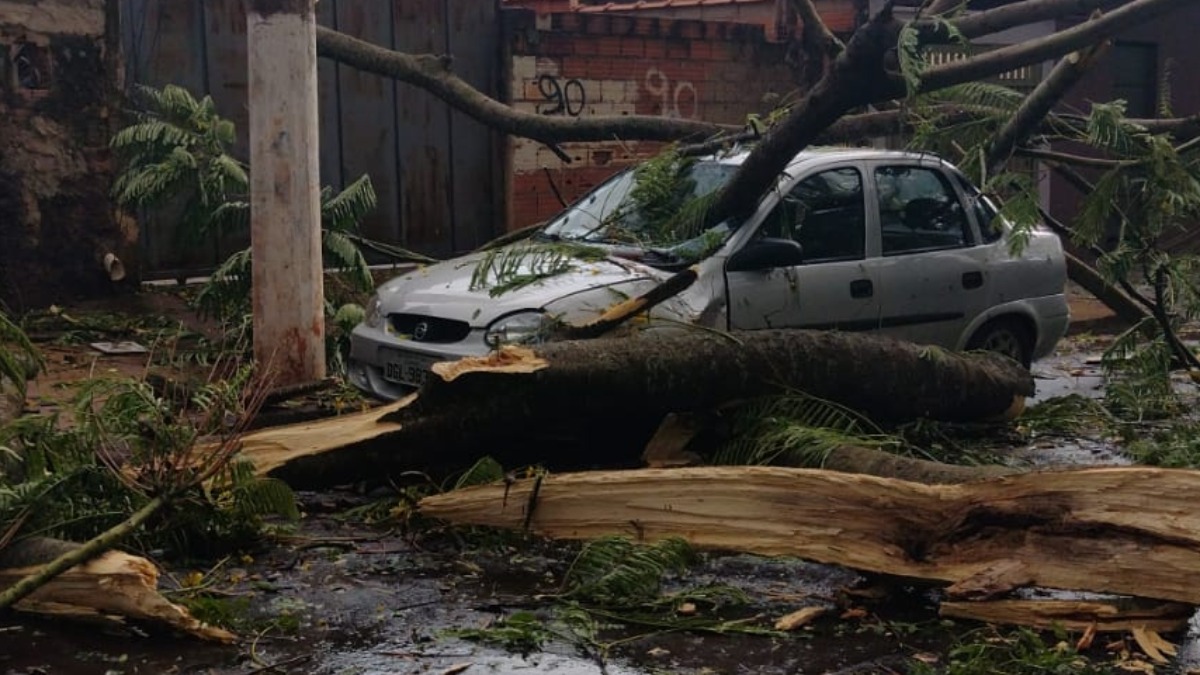 casas destelhadas temporal