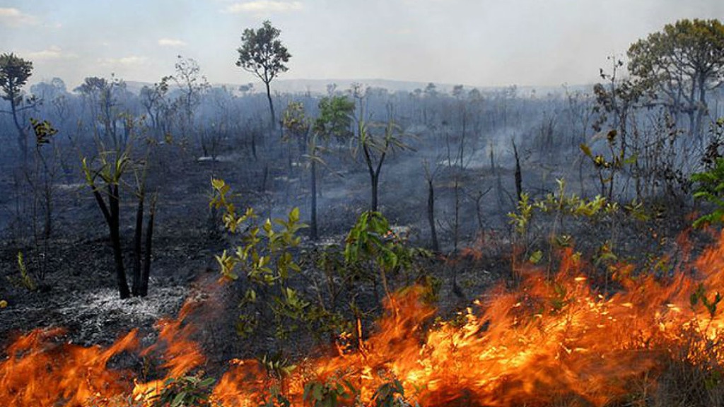 incêndios criminosos