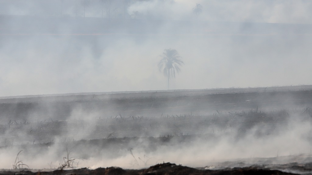 incêndios em Ribeirão Preto
