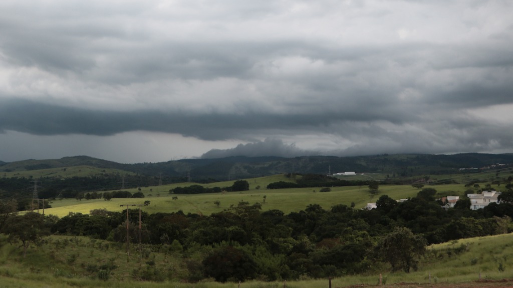 agropecuária brasileira