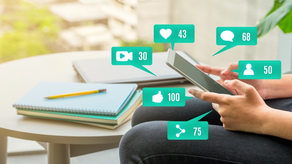 seguidores de celebridades