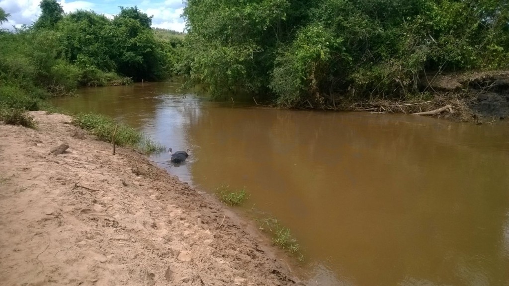 Captação de água emergencial