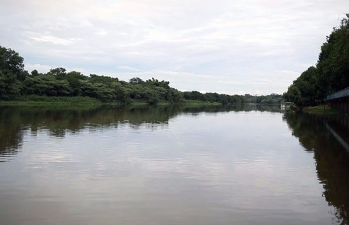 mortes por afogamento