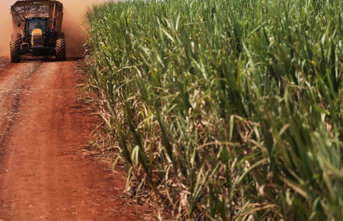 Agronegócio safra 2021/22