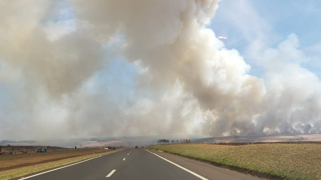 acidentes de trânsito neblina