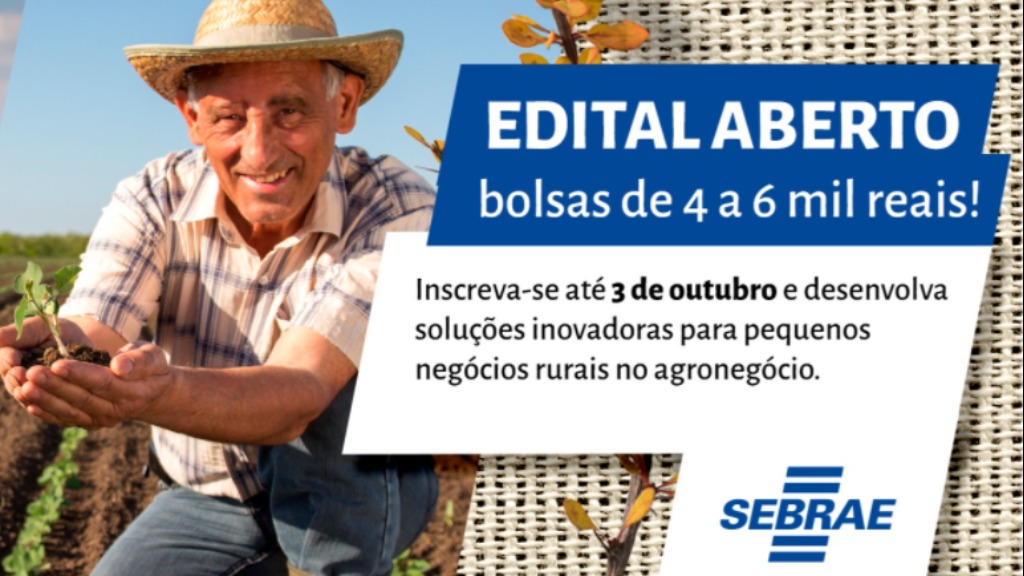 Bolsas Projeto Inovação Rural