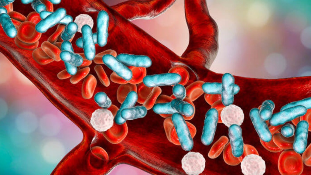 conscientização da sepse