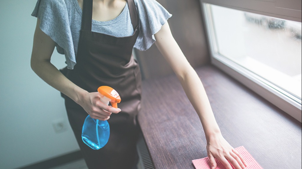 Relação trabalhista doméstica
