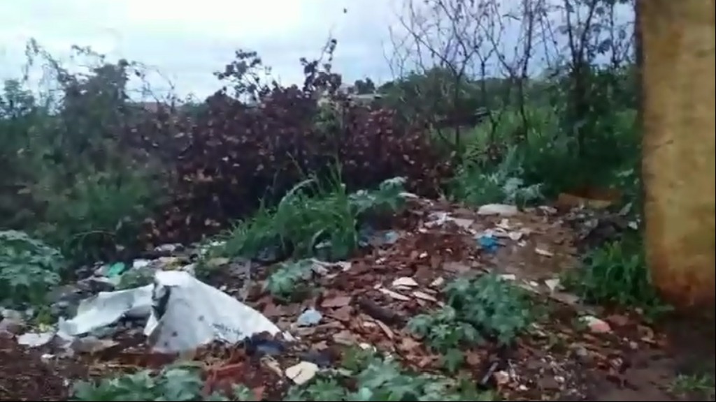 mato alto multa Ribeirão