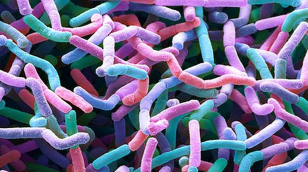 Tratamento precoce Covid-19