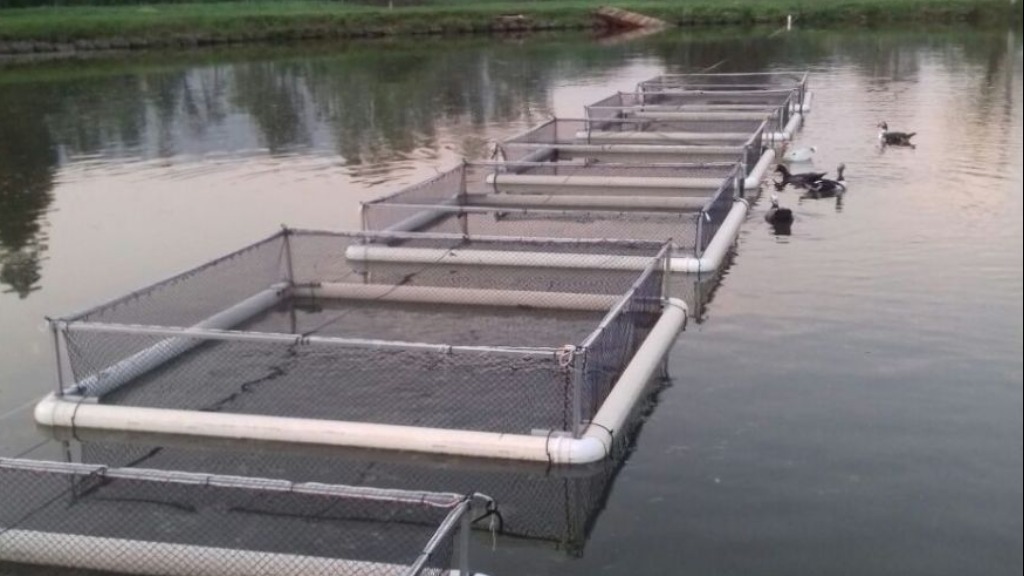 produção de peixes no Brasil