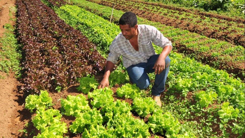 PIB agronegócio 2020