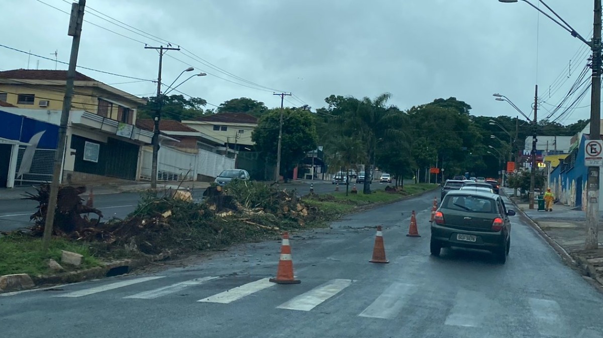 chuva trânsito Ribeirão