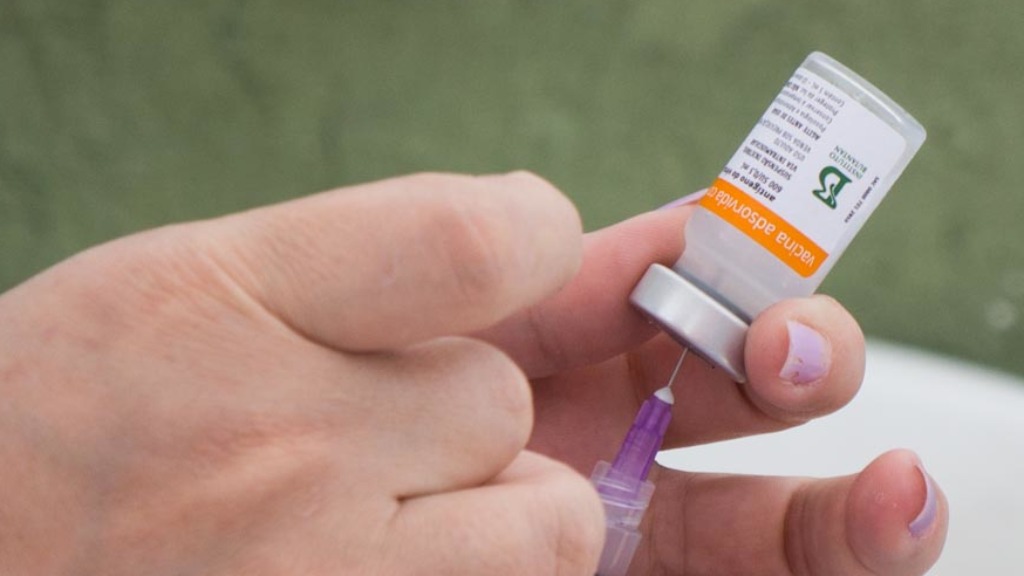 vacina CoronaVac segunda dose