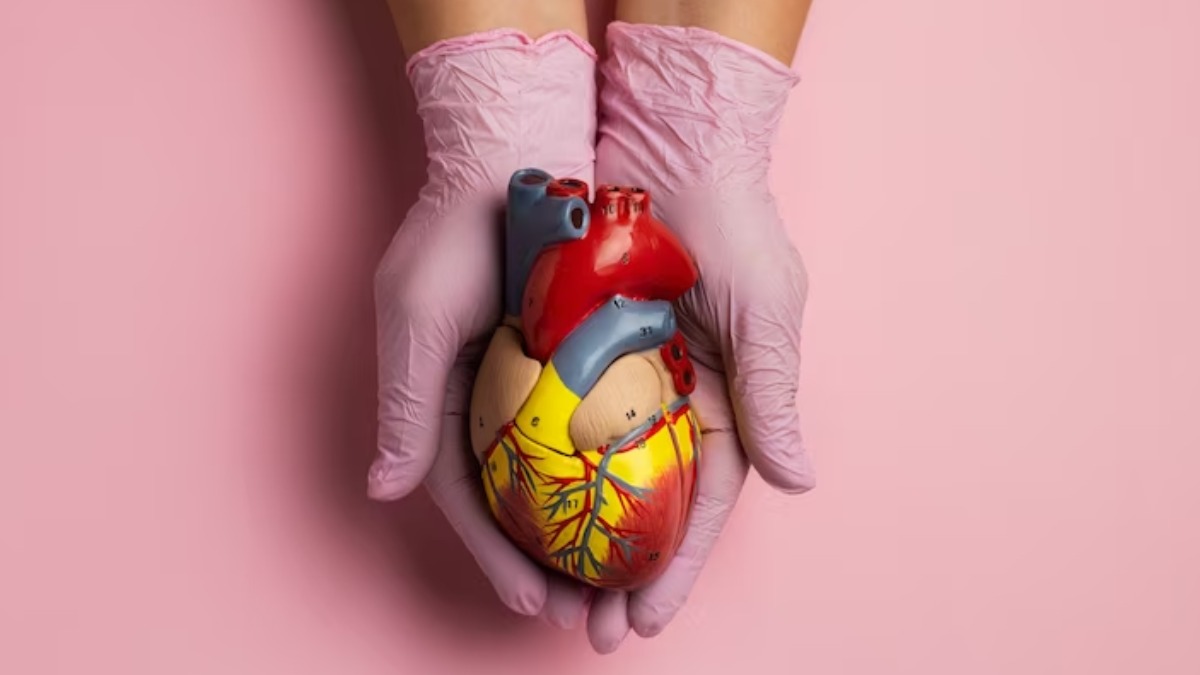 Brasil transplantador