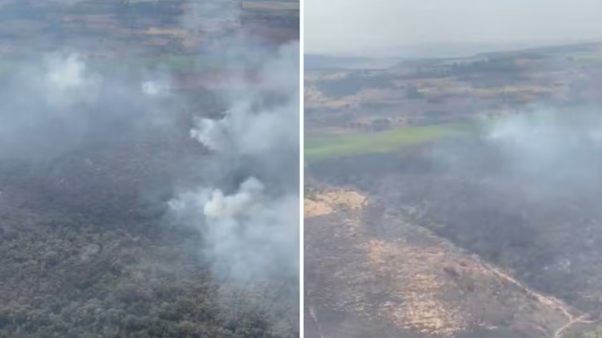 incêndio área de mata