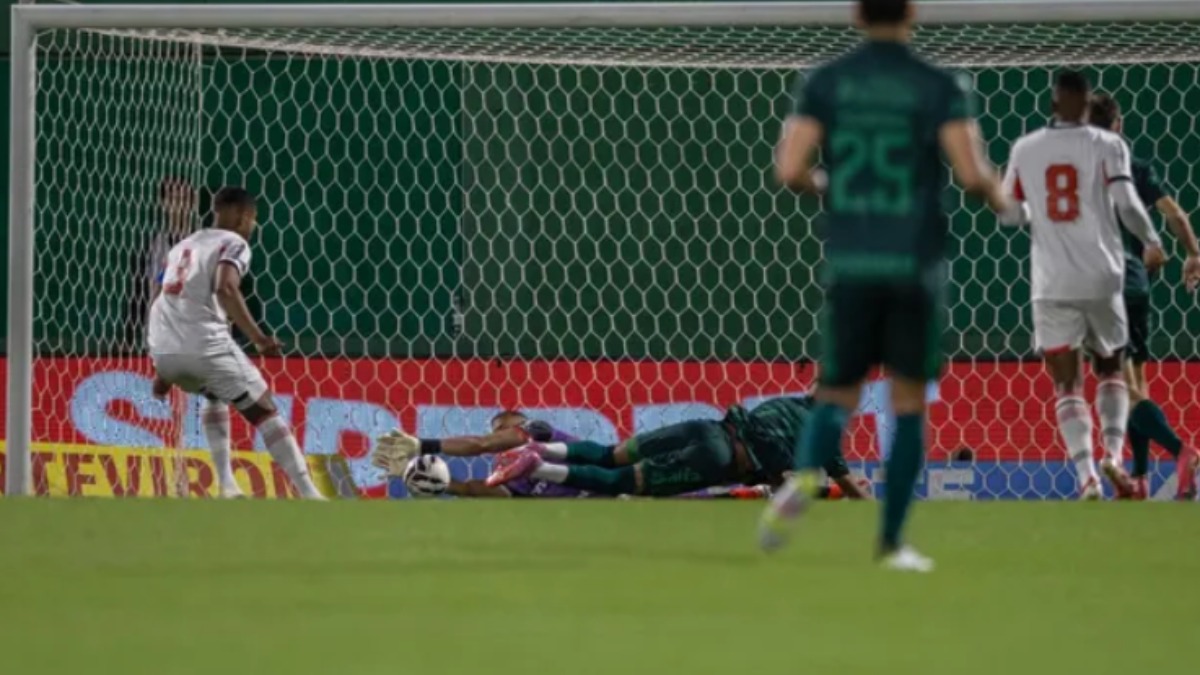 Botafogo-SP Chapecoense