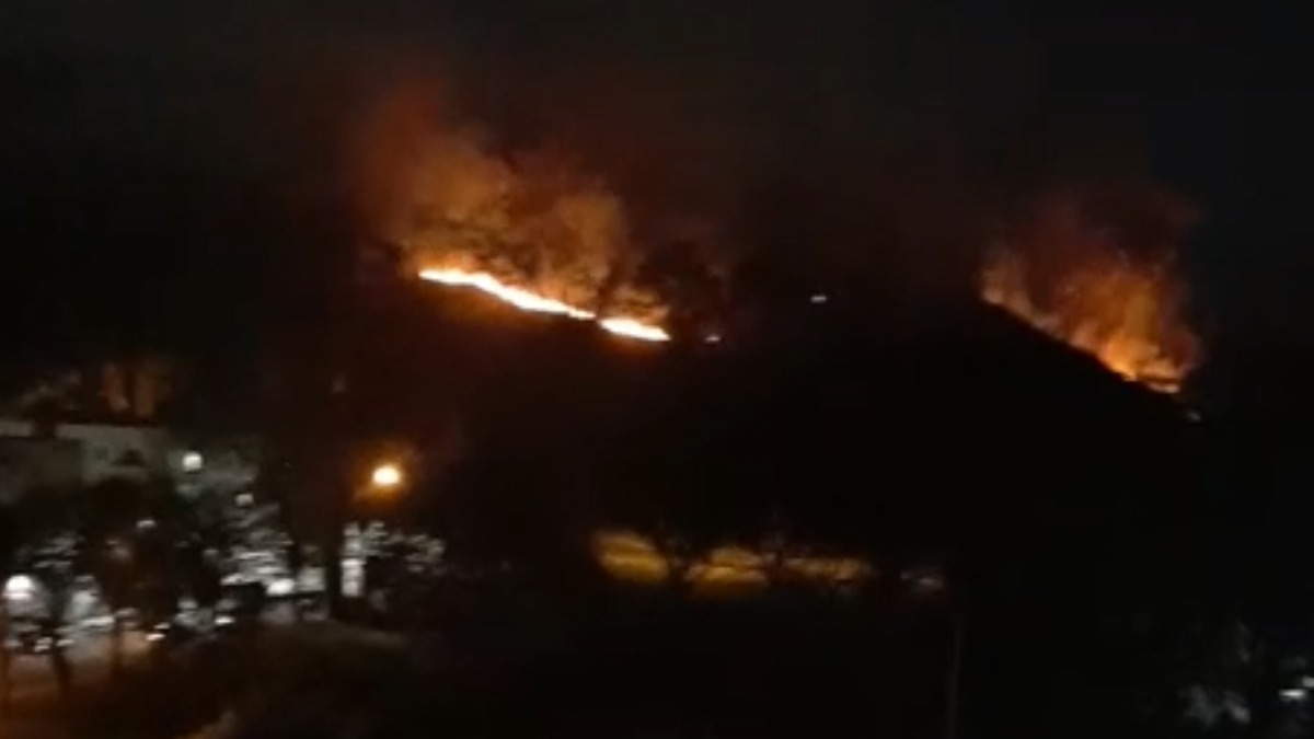 Incêndio Parque Cidade Criança