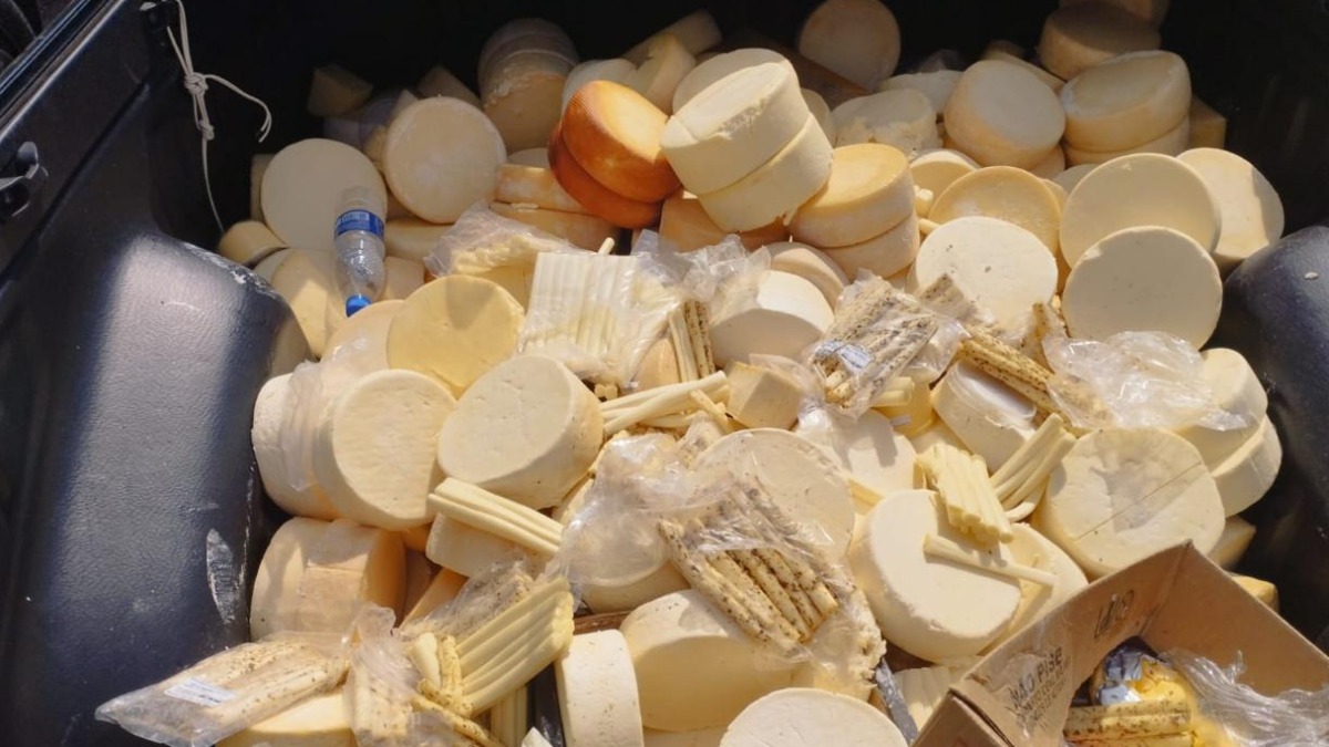 Queijos derivados do leite