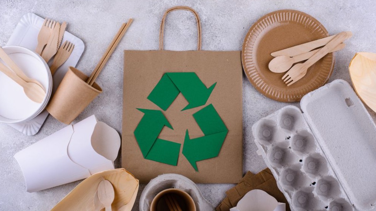 Alimentação e sustentabilidade